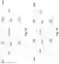 Fig. 04 - Bio-sensing and temperature-sensing integrated circuit