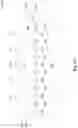 Fig. 08 - Bio-sensing and temperature-sensing integrated circuit