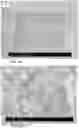 Fig. 09 - Simple single-step porous polymer monolith for DNA extraction