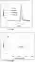Fig. 12 - Simple single-step porous polymer monolith for DNA extraction