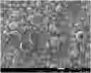 Fig. 01 - Catalyst for mass production of multi-wall carbon nanotubes