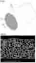 Fig. 02 - Honeycomb structured body