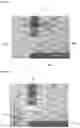 Fig. 07 - Assay device and reader