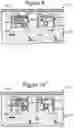 Fig. 10 - Micro-fluidic devices for assaying biological activity