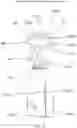 Fig. 13 - Multi-nozzle multi-container fluid spray device