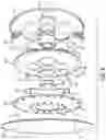 Fig. 07 - Showerhead with pin plate