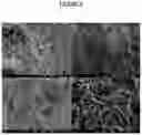 Fig. 10 - Method for Automated Spraying of Nanoparticles