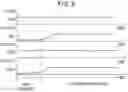 Fig. 09 - Polishing apparatus