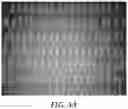 Fig. 07 - Coated abrasive article with multiplexed structures of abrasive particles and method of making