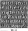 Fig. 12 - Coated abrasive article with multiplexed structures of abrasive particles and method of making