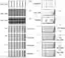 Fig. 28 - Multi zone cementitious product and method