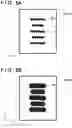 Fig. 08 - Imprint method and article manufacturing method
