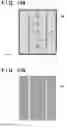 Fig. 13 - Imprint method and article manufacturing method