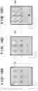 Fig. 15 - Imprint method and article manufacturing method