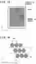 Fig. 18 - Imprint method and article manufacturing method