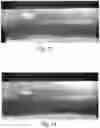 Fig. 08 - A METHOD FOR MAKING SHEET LAMINATES FOR BEING PRE-PUNCHED TO A SHEET LID TO BE ATTACHED TO A CONTAINER