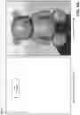 Fig. 08 - SYSTEMS AND METHODS OF HIERARCHICAL MATERIAL DESIGN FOR ADDITIVE FABRICATION