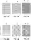 Fig. 05 - Visually dynamic multi-layer elastomeric materials