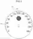 Fig. 02 - Resin decorative part and dial plate