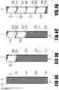 Fig. 05 - Liquid ejection head and process for producing liquid ejection head
