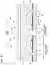 Fig. 14 - Liquid discharge head