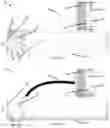 Fig. 04 - Resealable wet or dry application roller apparatus container with a single use disposable liner insert