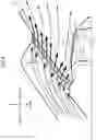 Fig. 05 - SIDE DEFROSTER DEVICE