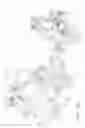 Fig. 21 - All terrain vehicle