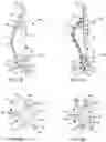 Fig. 05 - Lumbar support for a seat