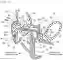 Fig. 13 - Automobile door sealing structure