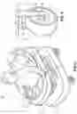 Fig. 03 - Convertible walker and stroller