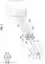 Fig. 02 - Vehicle body front structure