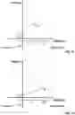 Fig. 10 - Automatic rolling fifth wheel hitch
