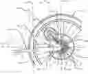 Fig. 01 - Electric bicycle motor system