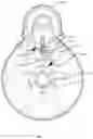 Fig. 06 - Electric bicycle motor system