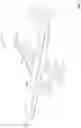Fig. 02 - Distributed trailing edge wing flap systems