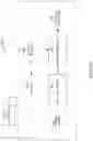 Fig. 03 - HYBRID ELECTRIC AIRCRAFT PROPULSION SYSTEM AND METHOD