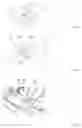 Fig. 05 - Universal winding machine for a multitude of tray designs