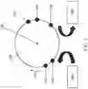 Fig. 03 - Ambient filling system and method