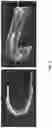 Fig. 08 - Systems and methods for fabricating 3D soft microstructures