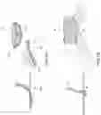Fig. 09 - Systems and methods for fabricating 3D soft microstructures