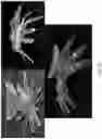 Fig. 31 - Systems and methods for fabricating 3D soft microstructures
