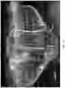 Fig. 52 - Systems and methods for fabricating 3D soft microstructures