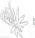 Fig. 56 - Systems and methods for fabricating 3D soft microstructures
