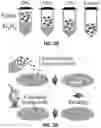 Fig. 03 - Antipathogenic devices and methods thereof