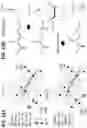 Fig. 13 - Antipathogenic devices and methods thereof