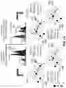 Fig. 14 - Antipathogenic devices and methods thereof