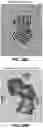 Fig. 19 - Antipathogenic devices and methods thereof