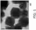 Fig. 02 - Highly homogenous zeolite precursors