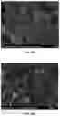 Fig. 19 - Methods and compositions for microwave catalytic ammonia synthesis